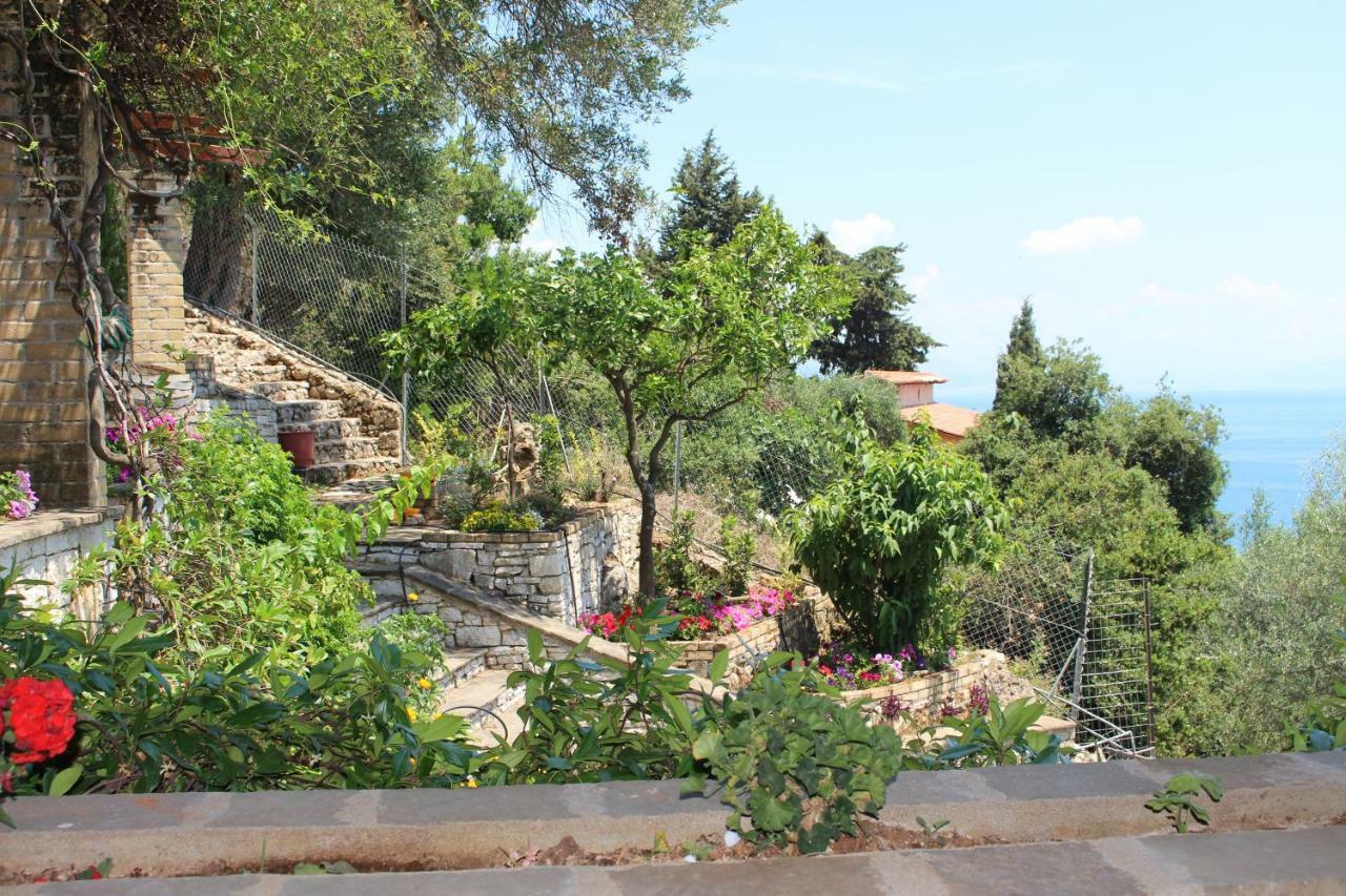 Aris Studio Corfu Pyrgi  Exterior photo